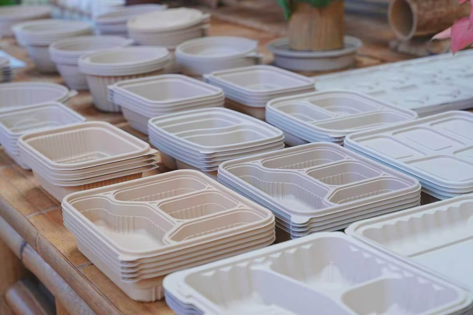 Compostable tableware