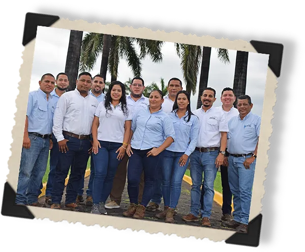 Group of eleven people standing outdoors in front of palm trees, wearing blue and white collared shirts with jeans.