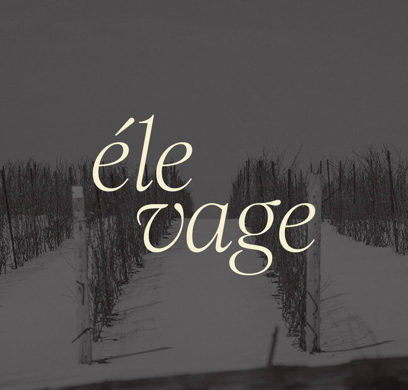 Élevage logo over an image of a vineyard in the winter