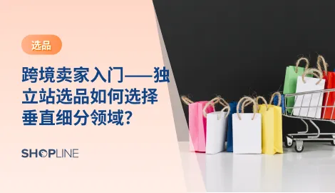 随着跨境电商市场的不断扩大，越来越多的跨境电商卖家开始考虑跨境独立站的建设。在独立站的建设过程中，选品是非常关键的环节。垂直细分领域作为一种跨境电商选品的方法和技巧，越来越受到卖家的青睐。那么，独立站卖家应该如何选择垂直细分领域呢？