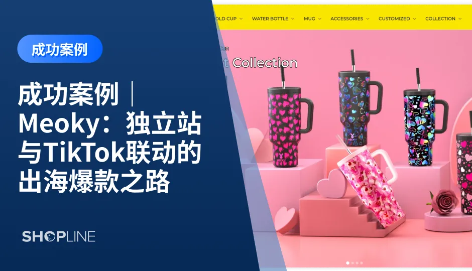 在全球电商竞争日益激烈的今天，独立站与社交媒体的联动已成为品牌出海的关键策略之一。Meoky品牌凭借其独特的水杯产品，成功构建了一个以独立站为核心，以TikTok为助力的全渠道营销模式。本文将深入探讨Meoky的成功故事，分析其在品牌定位、网站设计、TikTok营销等方面的有效策略。