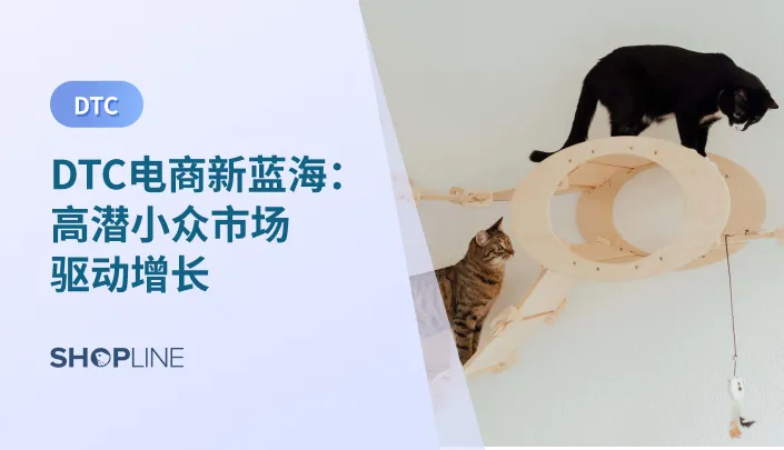 在竞争激烈的电商市场中，DTC（Direct-to-Consumer）模式的兴起为品牌提供了直接与消费者沟通的新渠道。本文将探讨如何发掘和利用高潜力的小众市场，通过DTC模式实现增长。结合独立站的使用，我们将分析DTC电商的最新趋势、市场动态，并提供实用的策略，帮助商家在DTC领域取得成功。