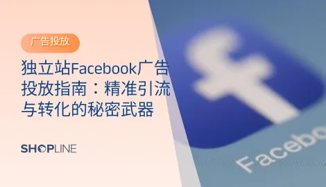 独立站Facebook广告投放攻略，全面解析受众定位、创意制作、预算优化与数据分析，让你的广告花得更值、转化更高。