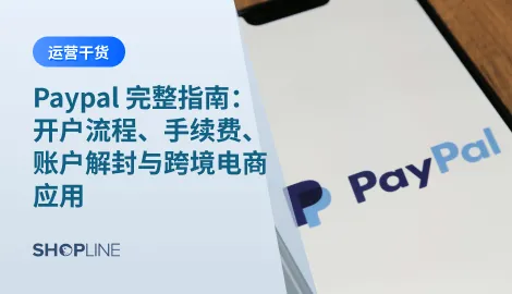 本文详细介绍 Paypal 的使用方法，包括 Paypal 开户步骤、Paypal 手续费标准及在跨境电商中的应用，帮助独立站卖家降低成本、提升收款效率。