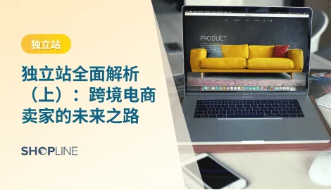 在跨境电商的浪潮中，越来越多的卖家开始关注并建设自己的 独立站。相较于依赖第三方平台（如亚马逊、eBay、速卖通），独立站代表着 更高的自主权、更强的品牌掌控力和更广阔的市场潜力。本文将为你全面解析独立站的概念、优势、搭建方式、推广渠道及成功案例，帮助卖家更好地理解和运用这一趋势。