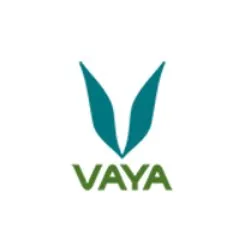 Vaya