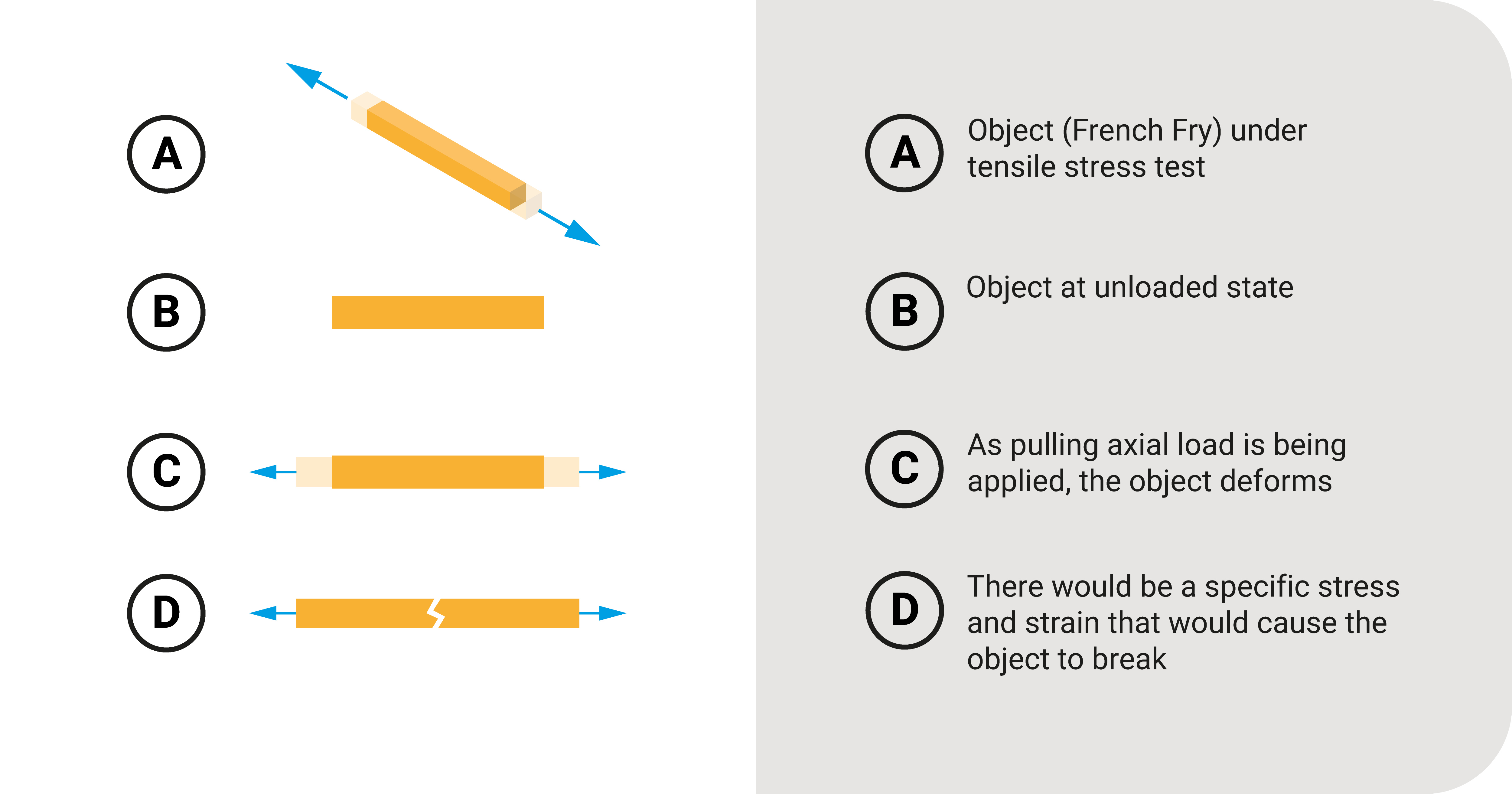 Tensile test on a French Fry