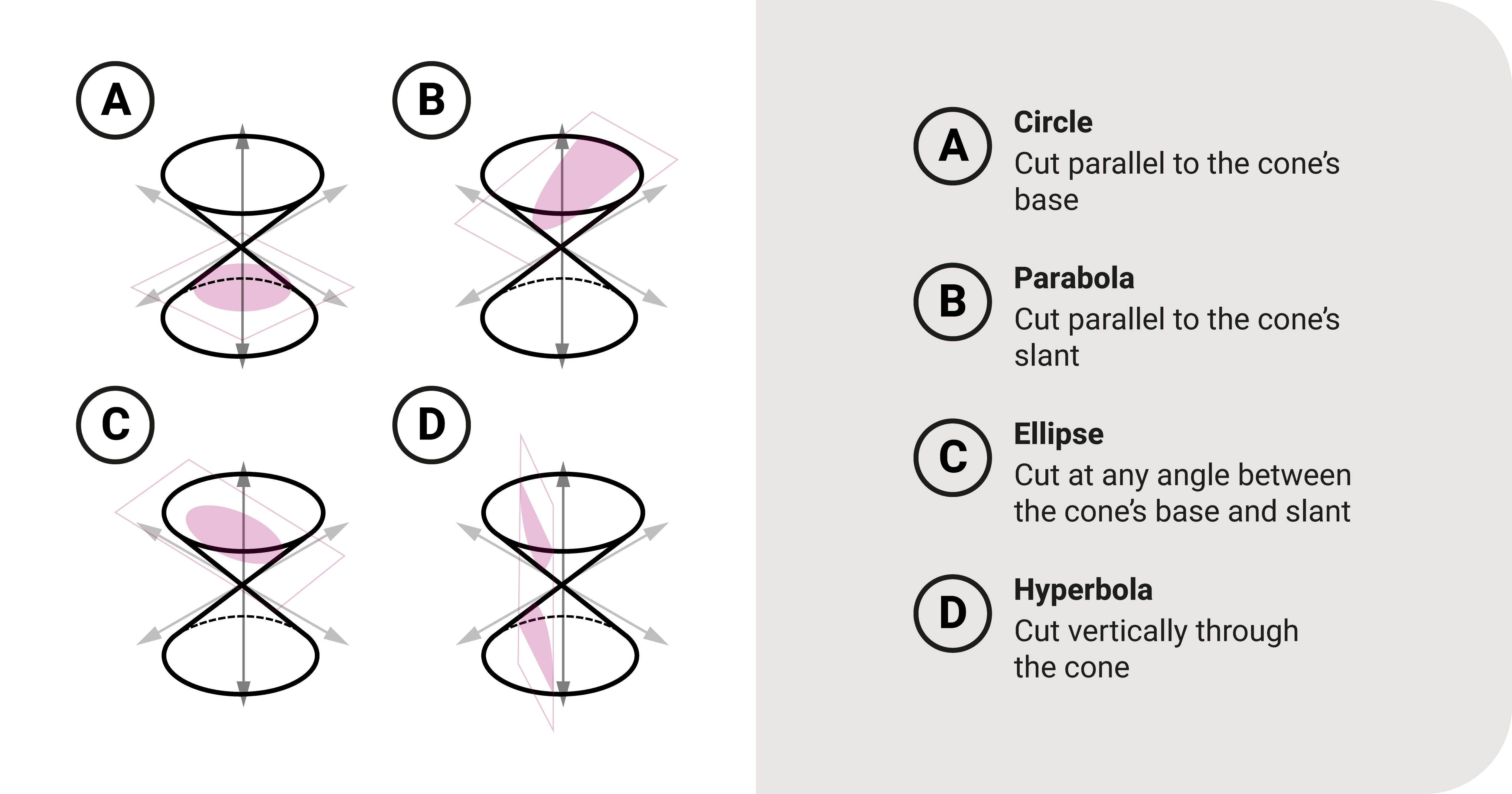 The different conic sections