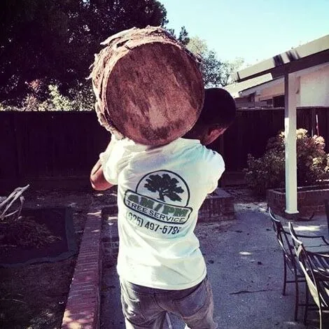 Profile picture of Am/Pm Tree Service