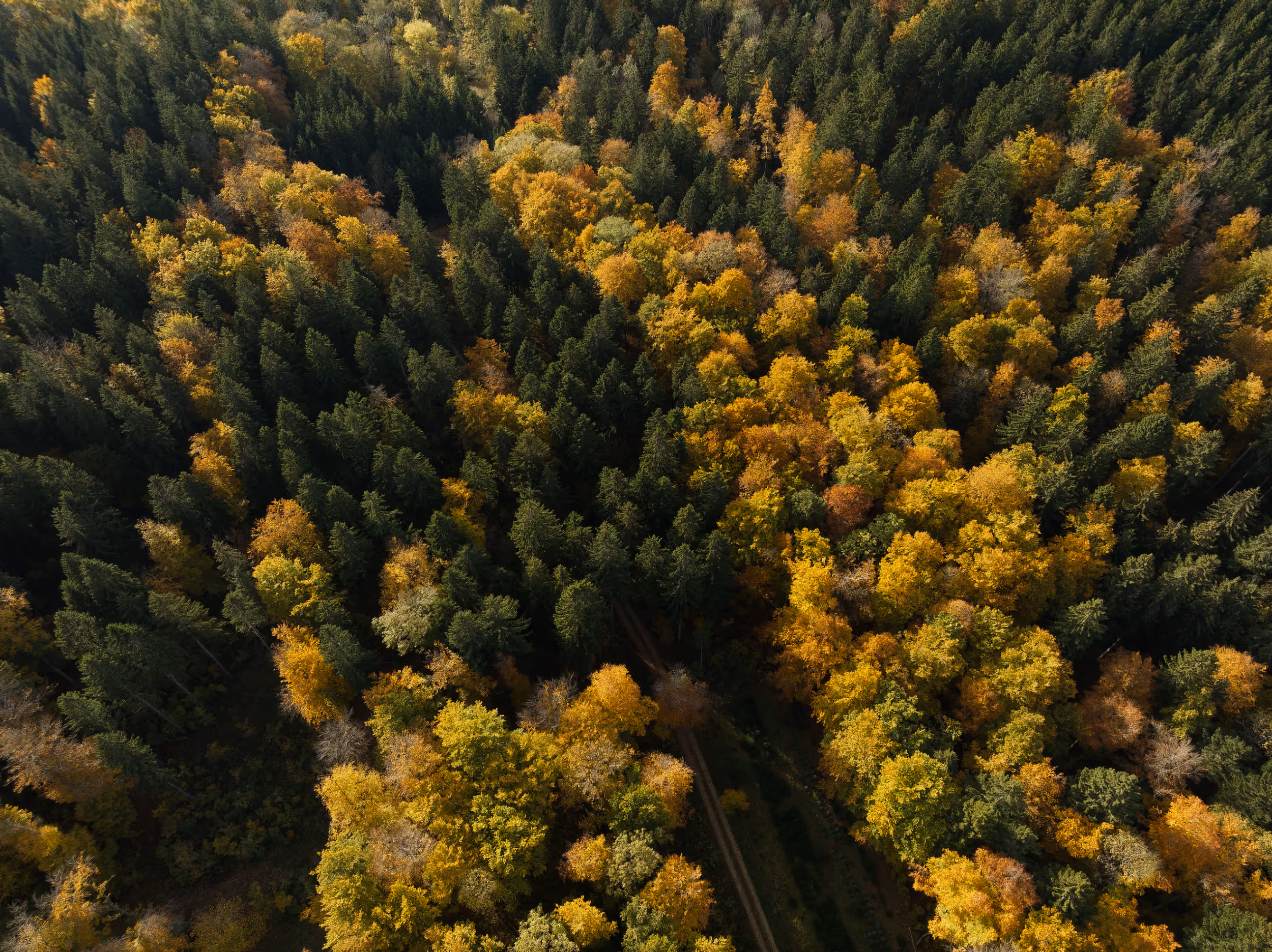 Image from the workbody "new world series" autumn 2022, copyright juerg fausch.
Luftfotografie mit Drohne, Aerial Photography