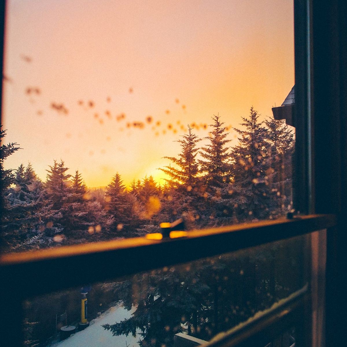Sunset view of snow-covered evergreen trees seen through a window with water droplets on the glass.