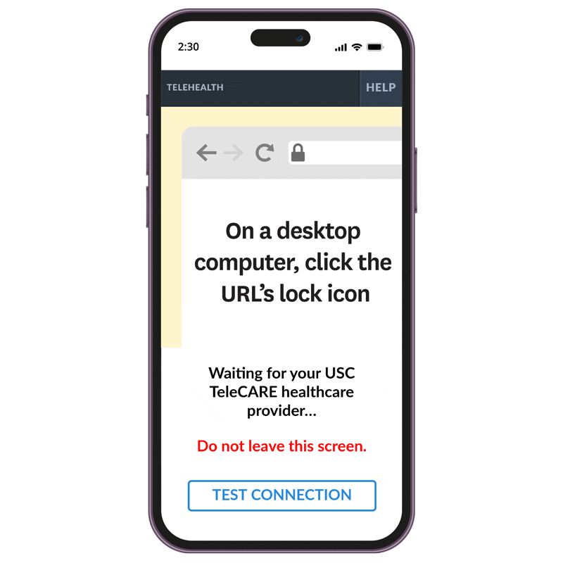 Animation showing how to connect to USC TeleCARE on a desktop computer