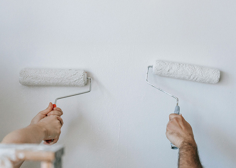 Interior Painting Guide for Homeowners on Auckland’s North Shore 