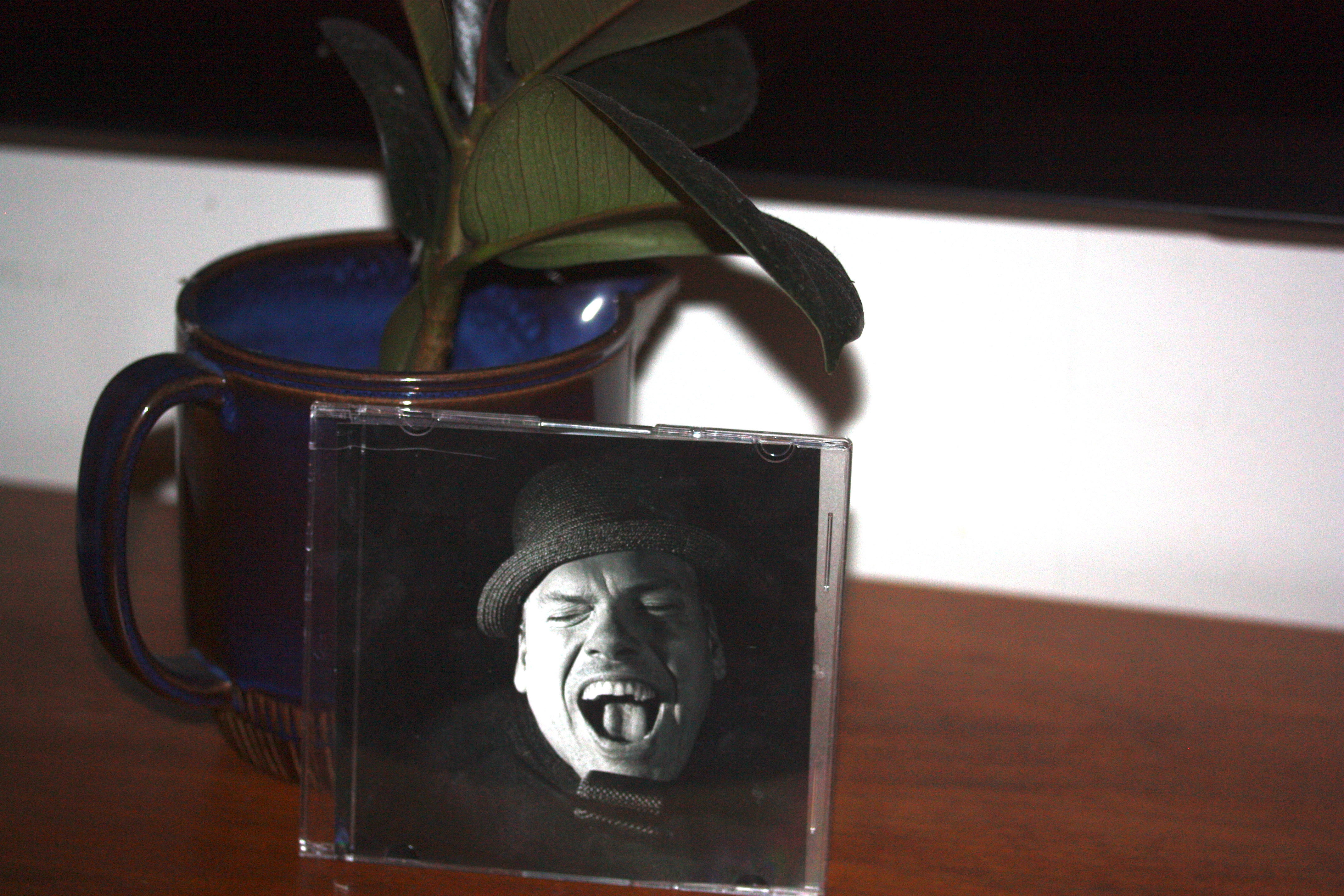 CD record in front of a plant
