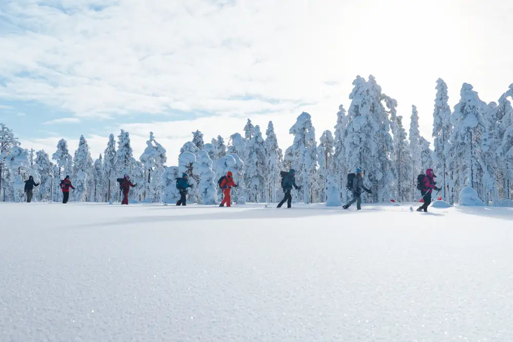 Ski touring in Norra Mora Vildmark
