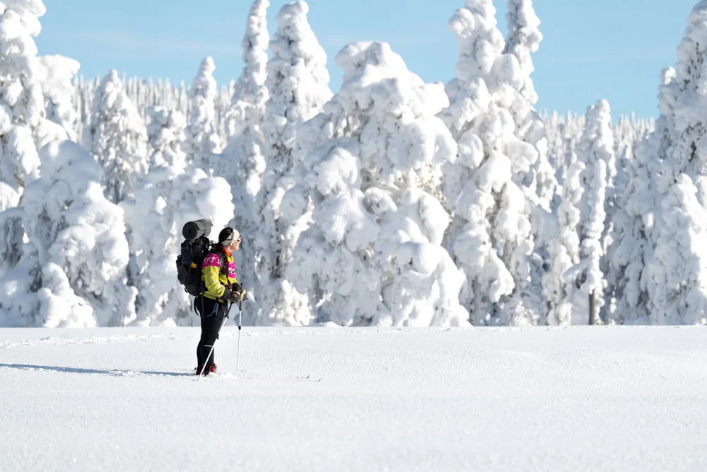 Skiing in Norra Mora Vildmark
