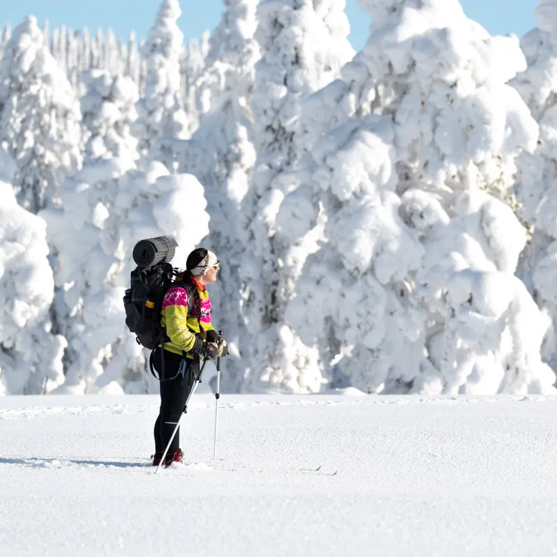 Tour skiing over untouched snow in northern Dalarna, beginner-friendly.