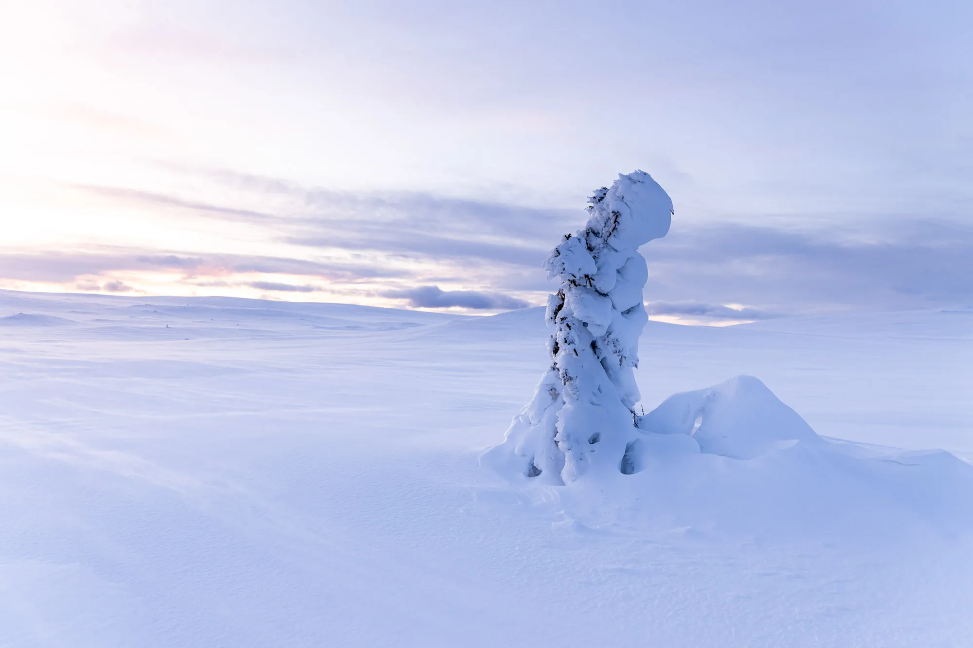 Schneebedeckte Landschaft in den schwedischen Bergen.