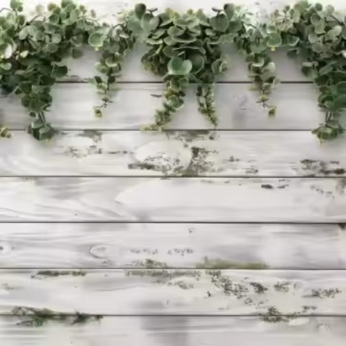 A backdrop of Green eucalyptus leaves hanging over whitewashed rustic wooden planks with peeling paint.