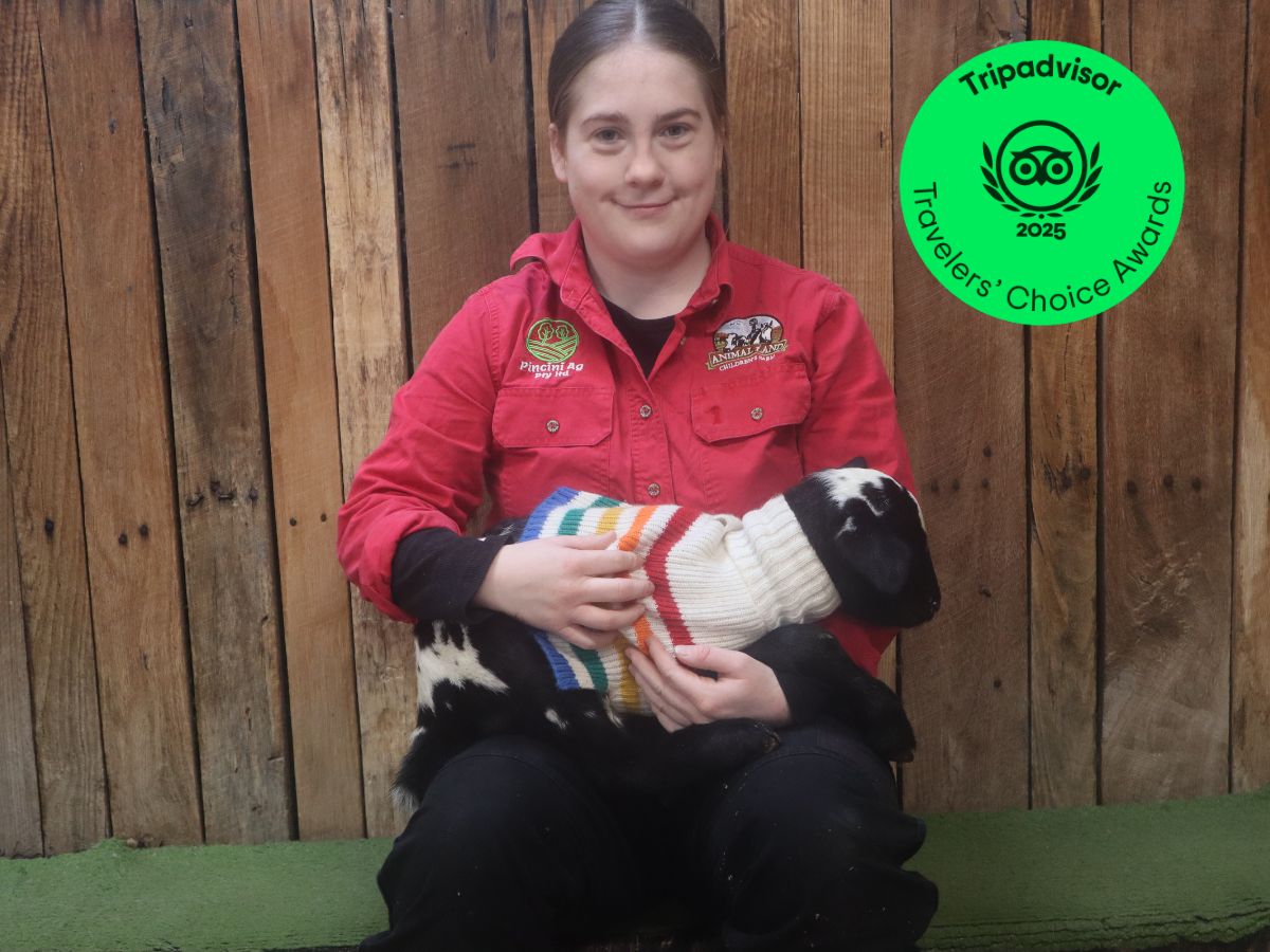  Animal Land Named Tripadvisor Travellers’ Choice 2025!