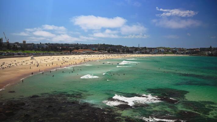 Bondi in a Day