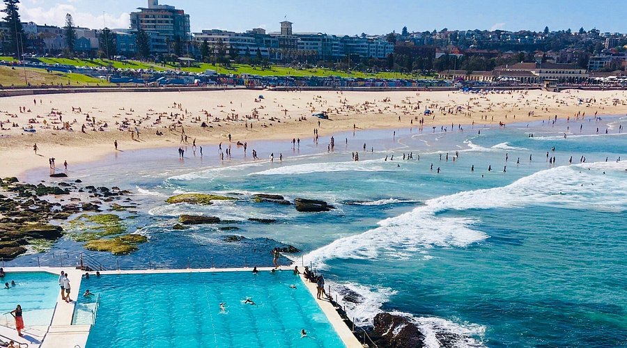 Bondi in a Day