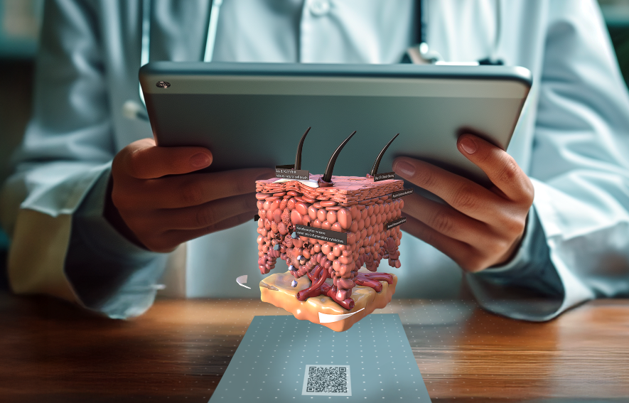 3D augmented reality model of human skin layers and hair follicles projected above a QR code, held by a person using a tablet.