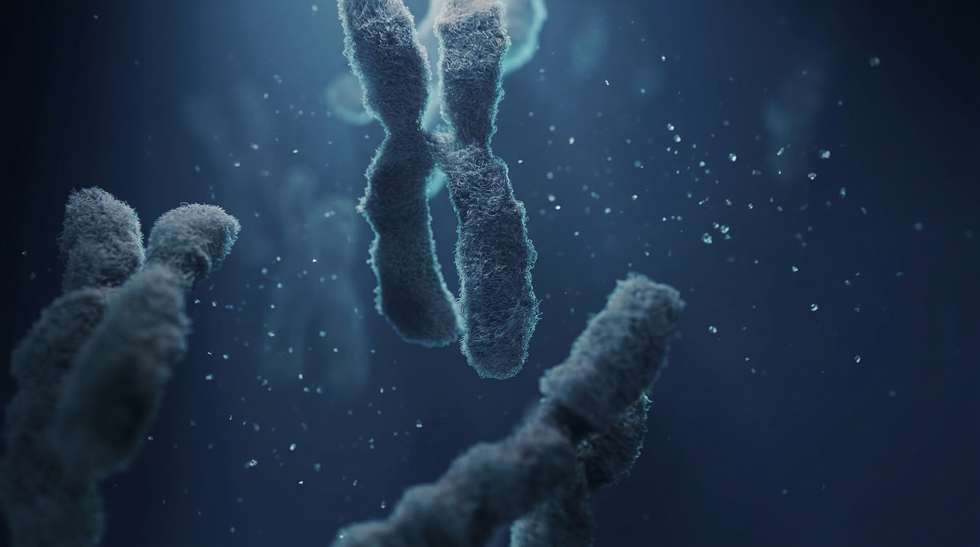 Close-up of fuzzy chromosome structures floating in a blue microscopic environment.