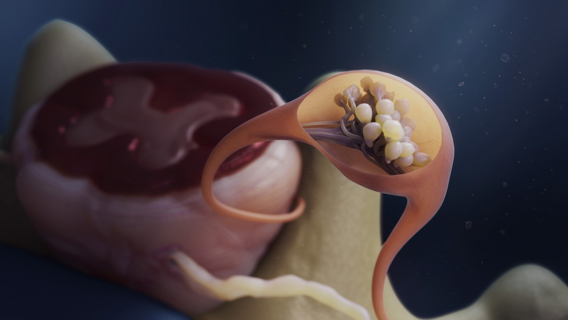 3D rendering of a neural synapse showing an axon terminal with neurotransmitter vesicles and synaptic cleft.
