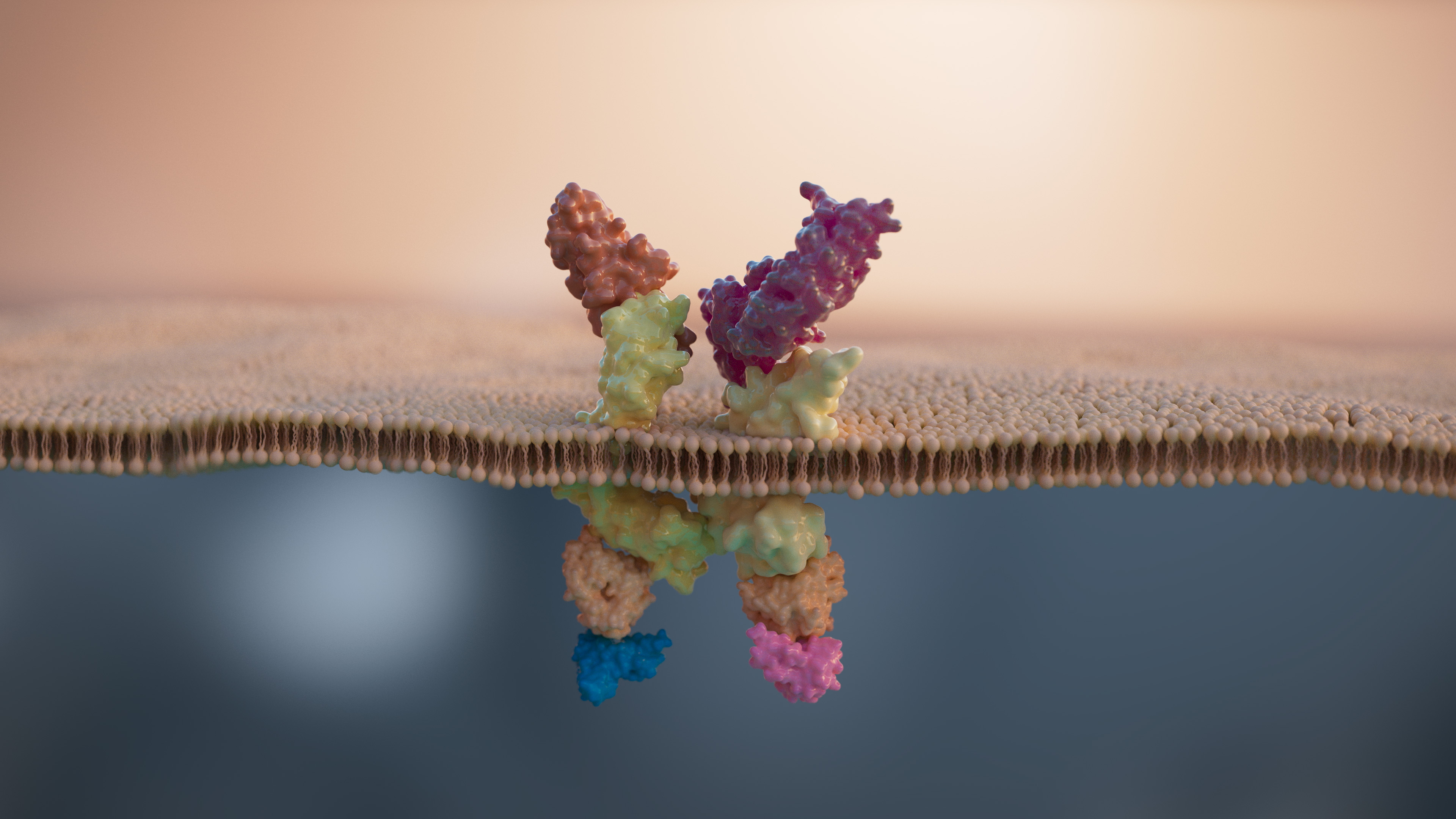 Close-up of several textured chromosomes floating in a dark blue background with light particles.