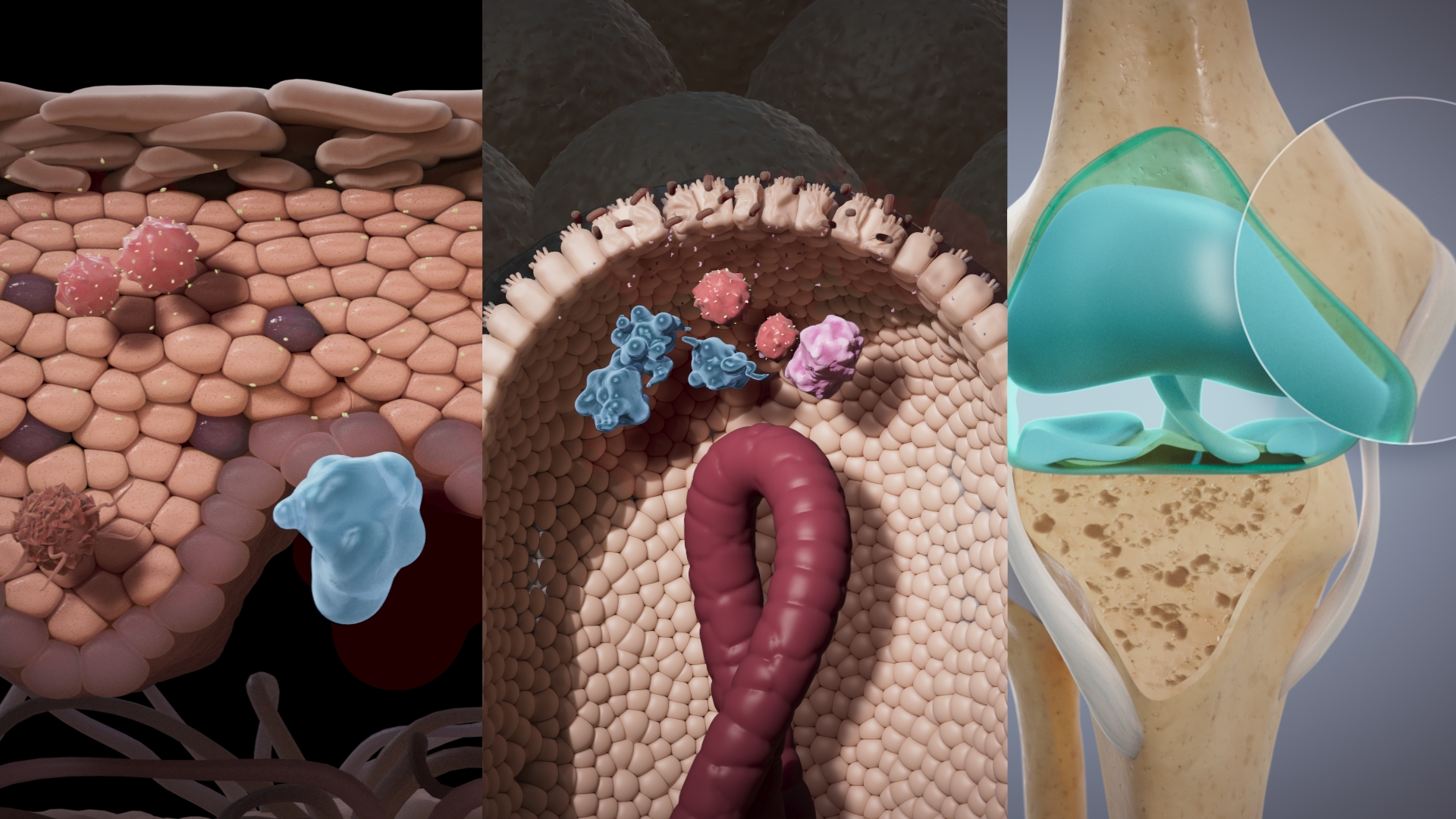 3D illustration of molecular structures, featuring clustered purple and blue spherical particles against a dark, blurred background.
