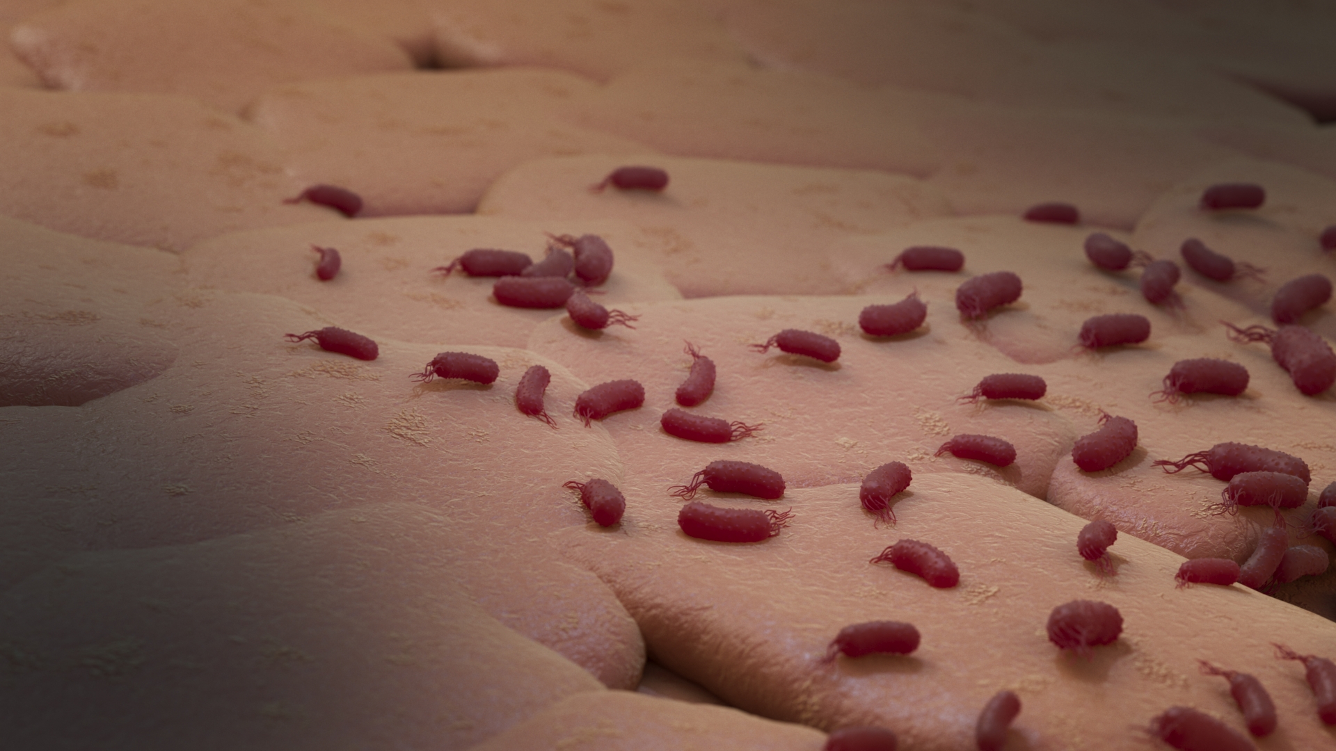 Transparent side view of a human head and neck showing brain, spinal cord, and nerves with a magnified view of a neuron in a circular inset.