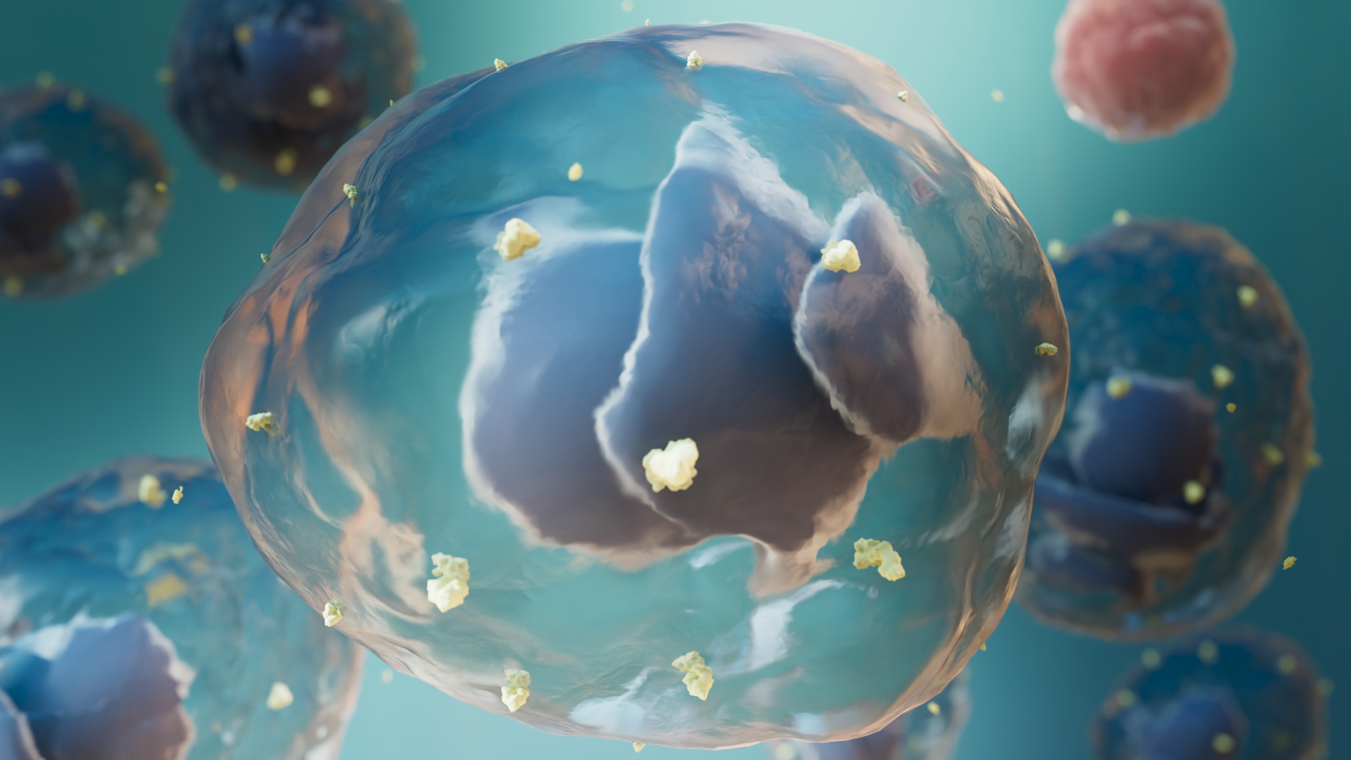 3D illustration of human torso showing internal organs including lungs, stomach, intestines, and heart shadowed in a dark background.