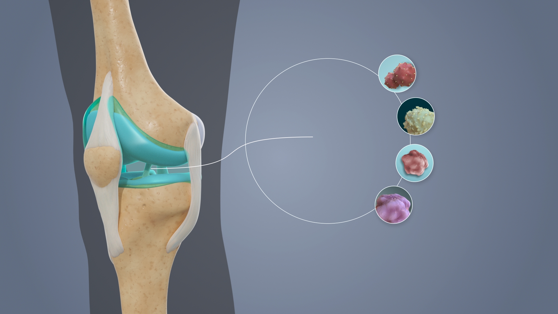 3D rendering of a neural synapse showing an axon terminal with neurotransmitter vesicles and synaptic cleft.