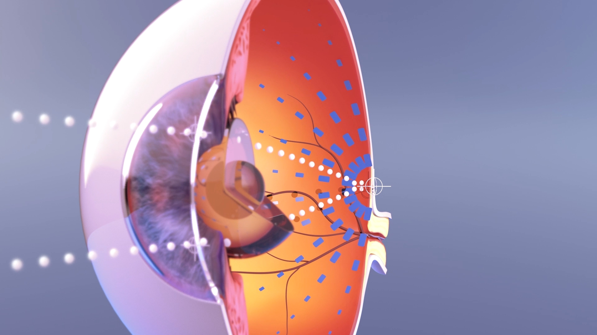 Transparent side view of a human head and neck showing brain, spinal cord, and nerves with a magnified view of a neuron in a circular inset.