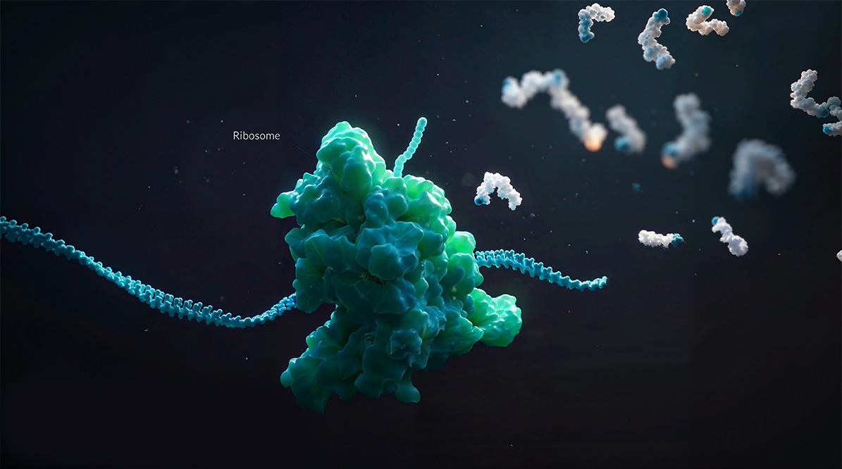 Close-up of several textured chromosomes floating in a dark blue background with light particles.