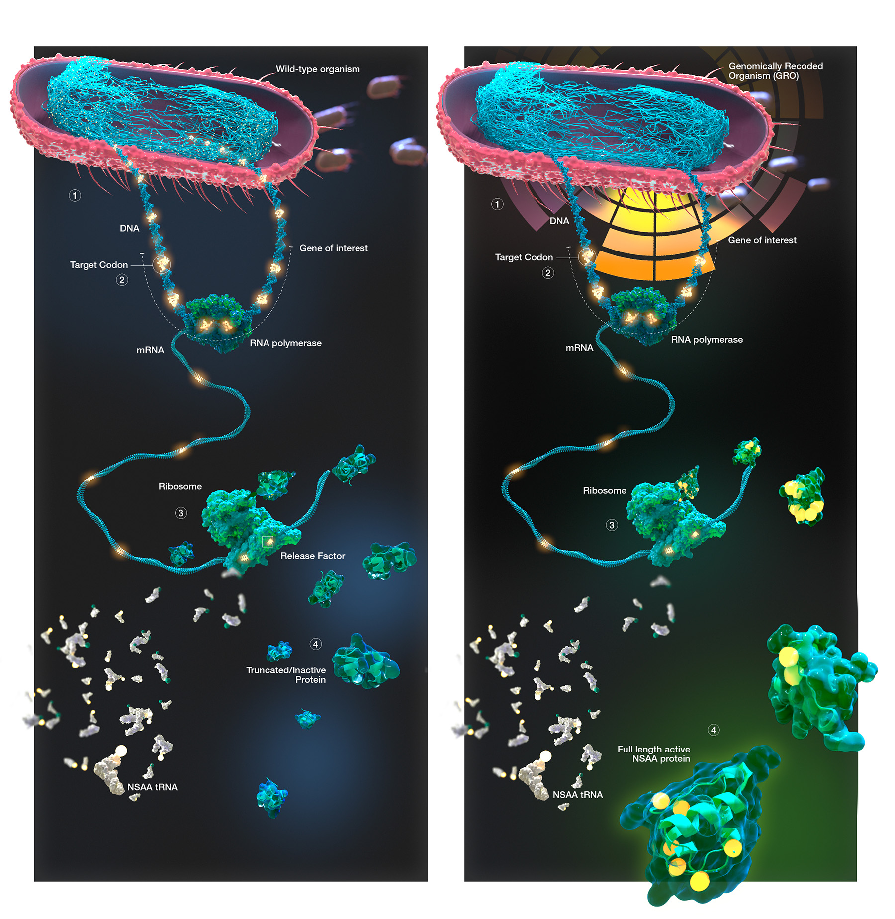 3D illustration of molecular structures, featuring clustered purple and blue spherical particles against a dark, blurred background.