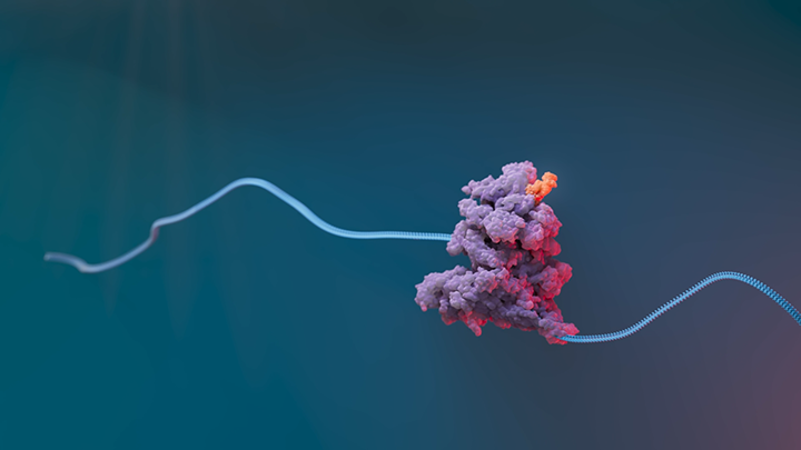 Illustration of a molecular structure attached to a twisting blue strand against a dark background.