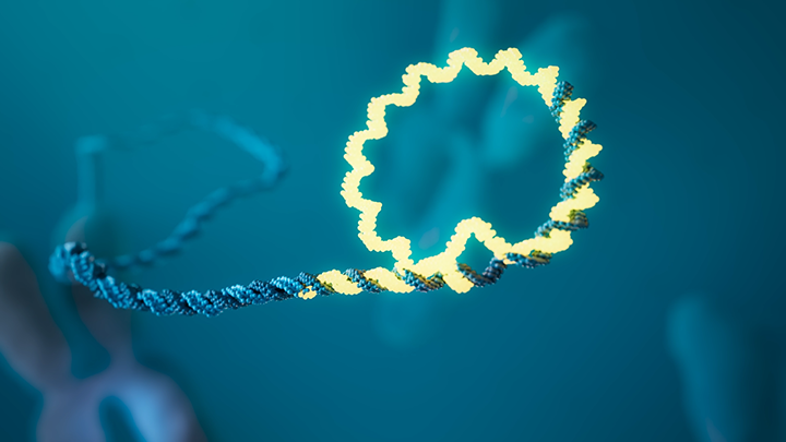3D illustration of a twisted blue and yellow molecular strand with a looped yellow segment on a teal background.