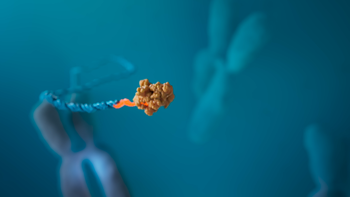 Molecular structure interacting with DNA strand with blurred chromosome shapes in the background.