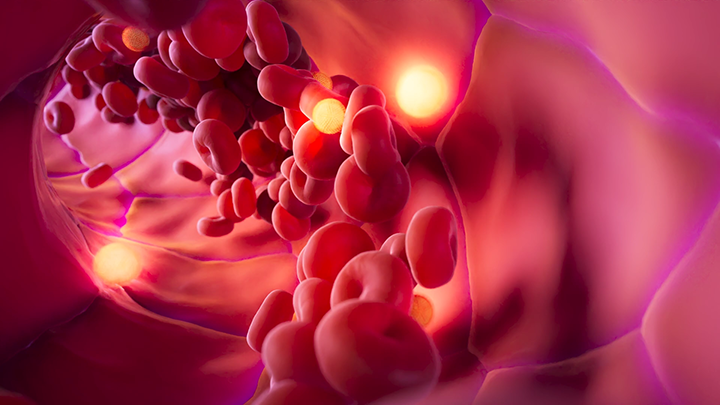 Close-up of red blood cells flowing through a blood vessel with glowing plasma elements.