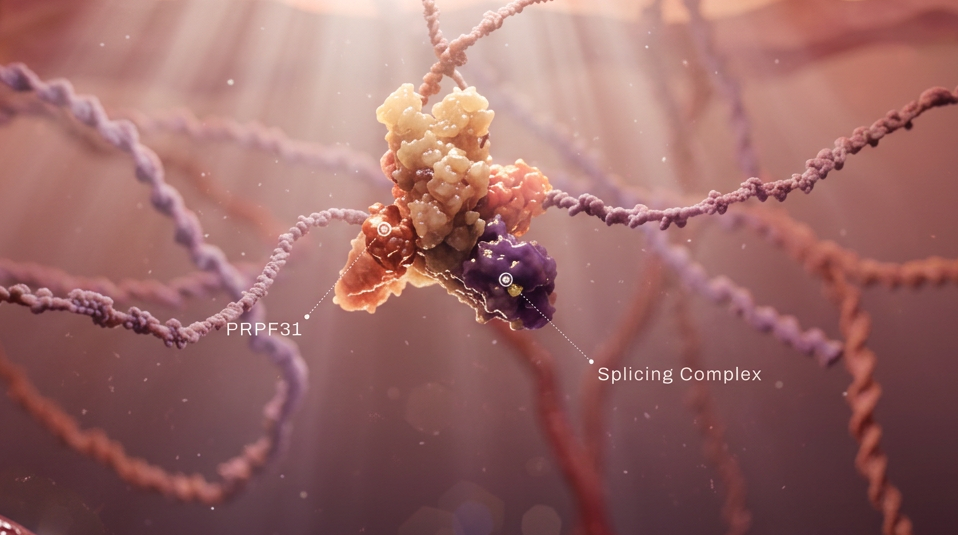 3D illustration of NSAA tRNA interacting with a ribosome on a blue mRNA strand with highlighted target codon.