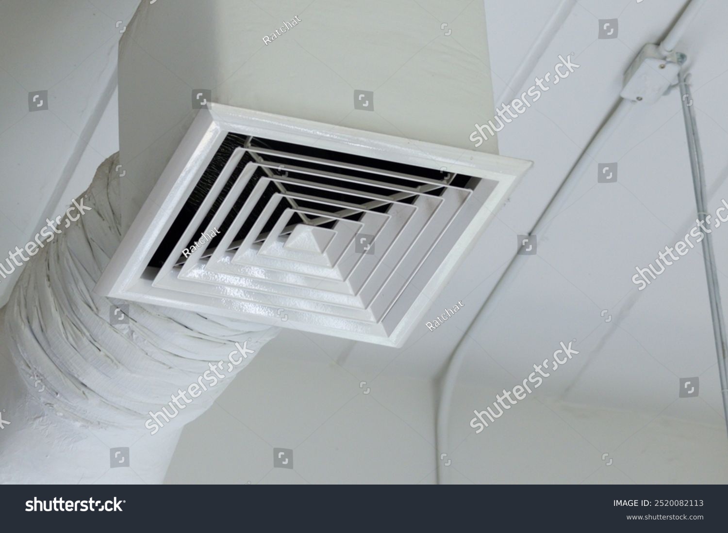 Teppe renset og hund ligger å sover