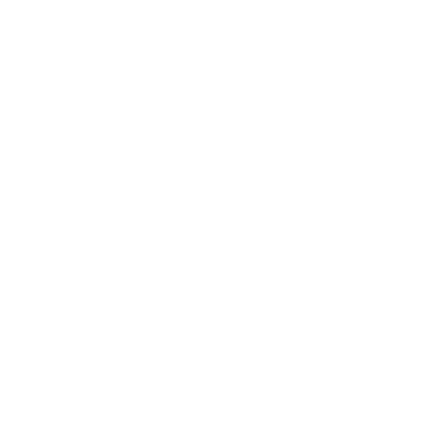 ThreatLocker Ringfencing Icon