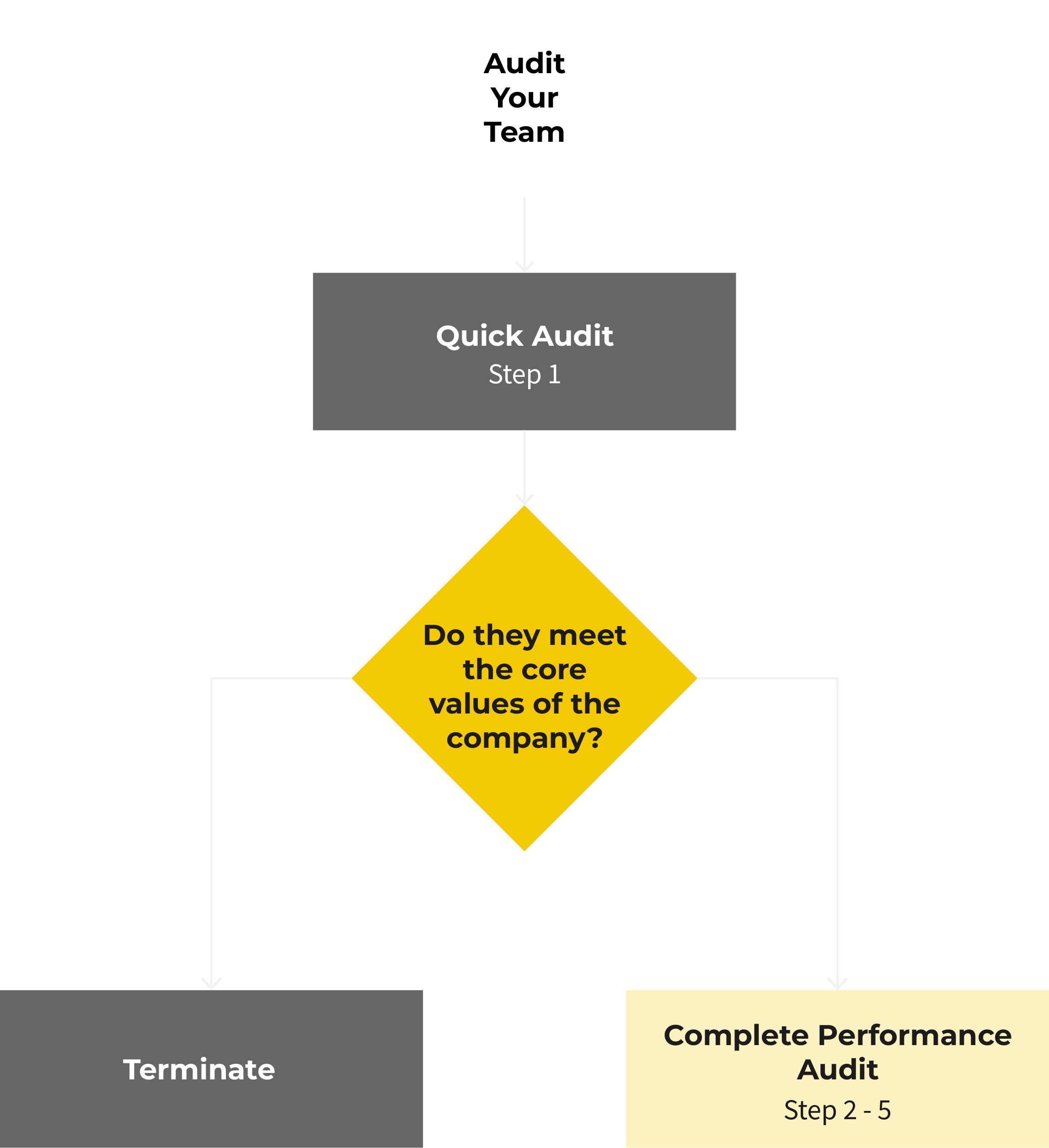 Audit decision tree: a quick audit asks if they meet the core values; no means terminate, yes means a full performance audit