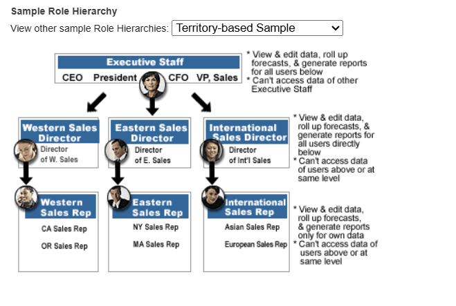Screenshot of a Salesforce sample role hierarchy showing how executive staff, sales directors, and sales reps have different levels of record visibility.