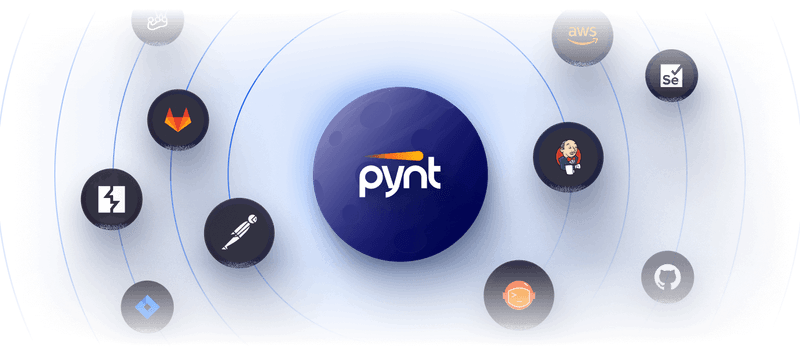 Pynt: Effortless API Security Testing