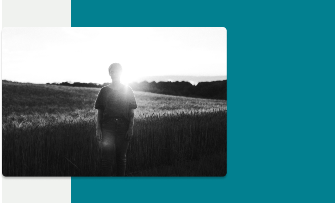 Imagen de Beneficio de Originalidad.