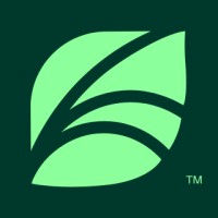 Senior Data Analyst, Specialty Care at Spring Health