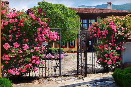 Патева къща